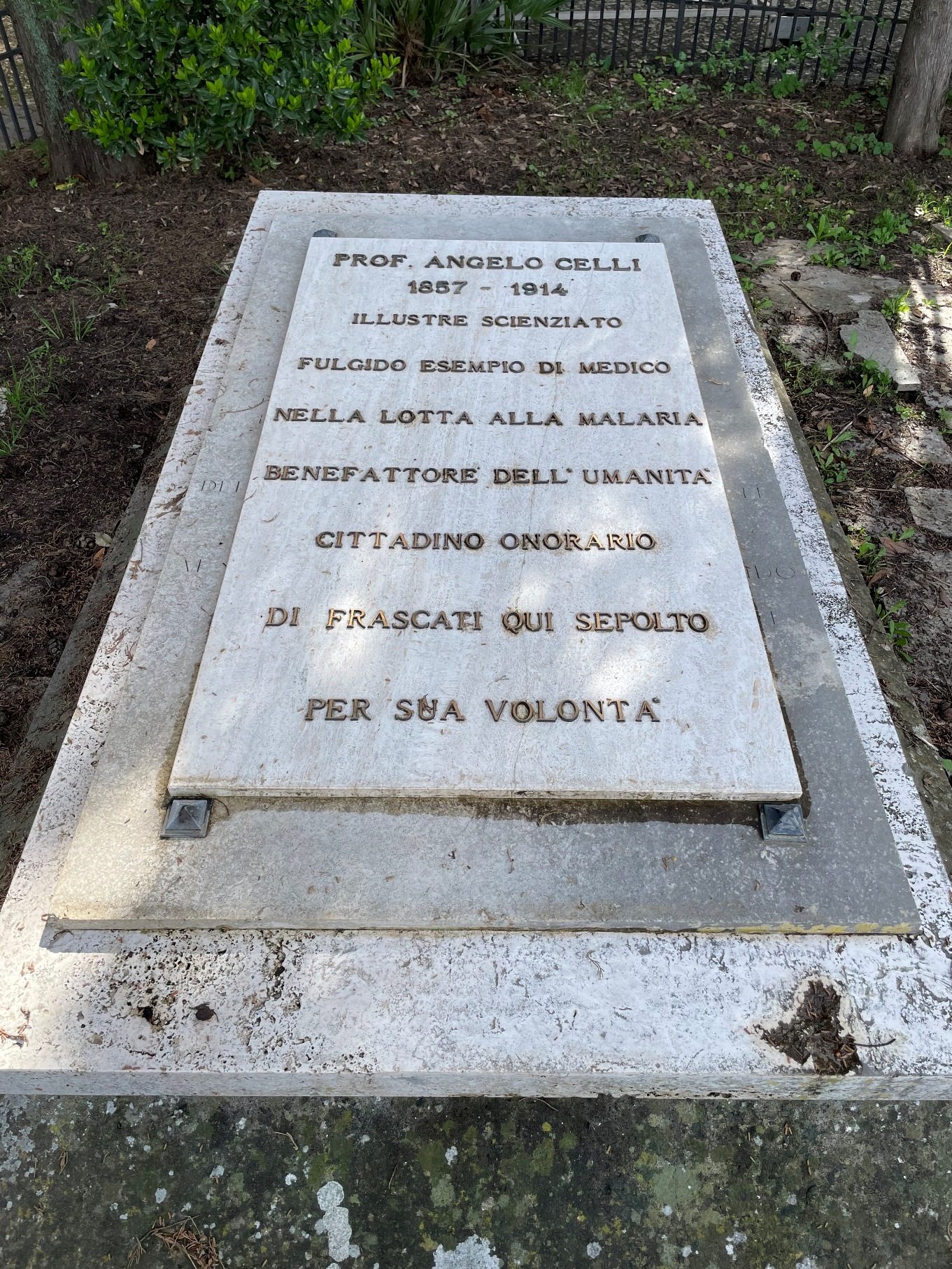 Angelo%20Celli%20and%20Anna%20Fraentzel%27s%20tomb%2C%20Frascati%20%28by%20Giulia%20Lenci%29%20-%2005.jpeg